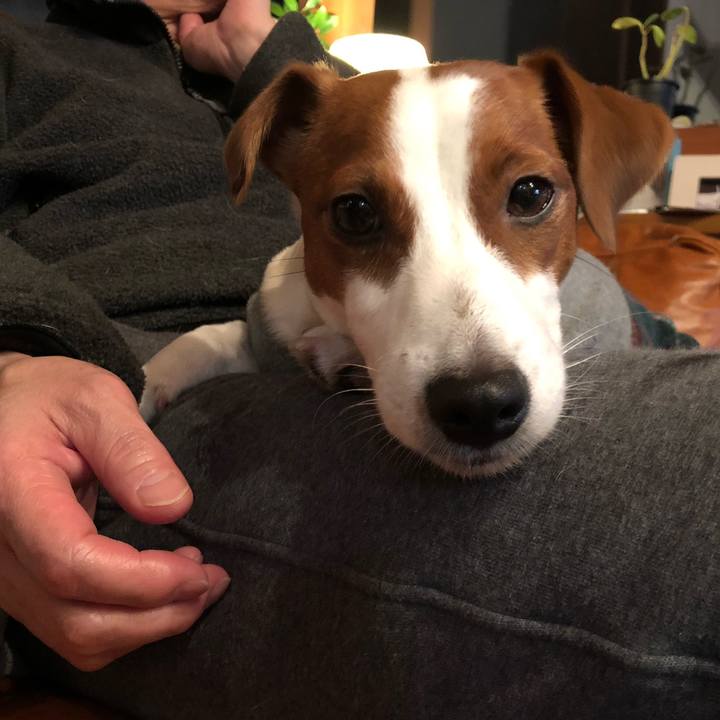 C14ca49e db91 404e b46c 249c5bcad529 1547108772813