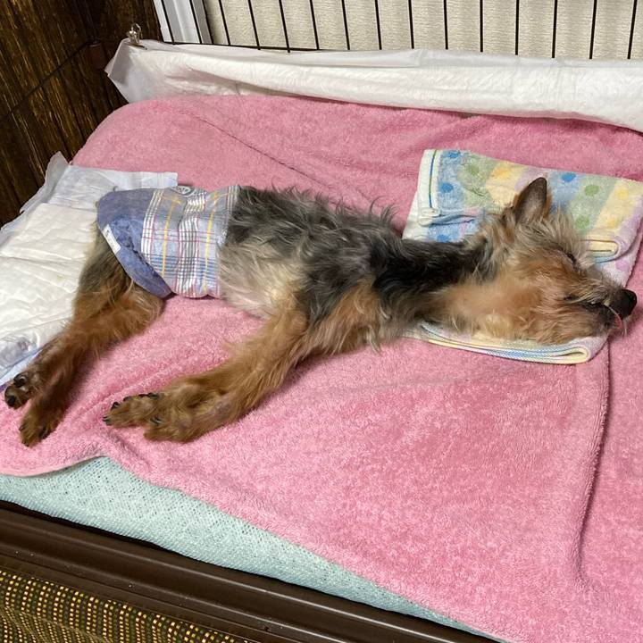 C14ca88a e7a0 46d0 a1cd 8b8457e5710e 1690709926145