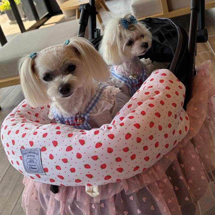 C14cfd63 4cf6 43e5 a2ee e4940263a723 1756026575592