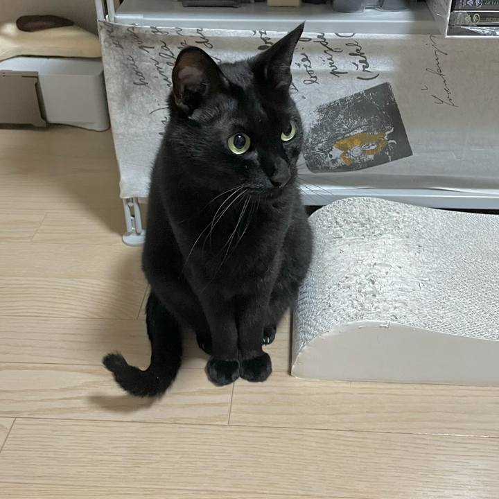 C14d0056 1cb2 431a ab0f 90fda0777c6b 1684933212930