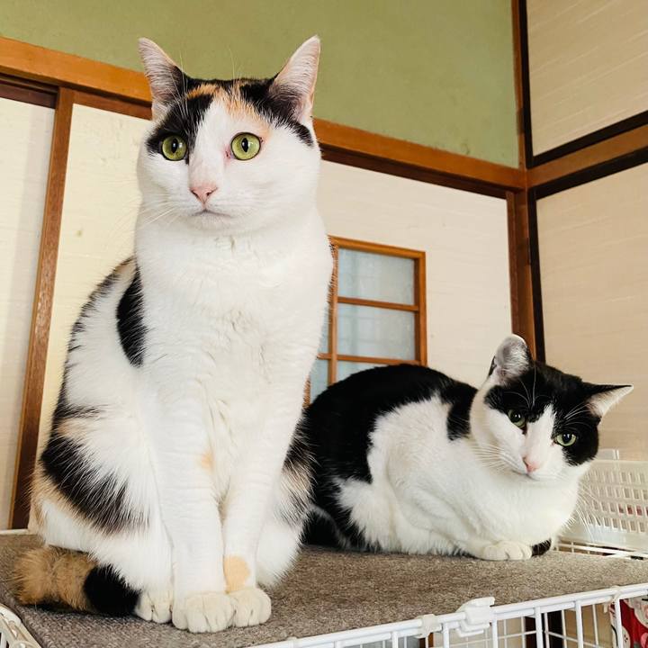 C14d8722 cd85 45d4 b169 609b37fb6b46 1611455781035