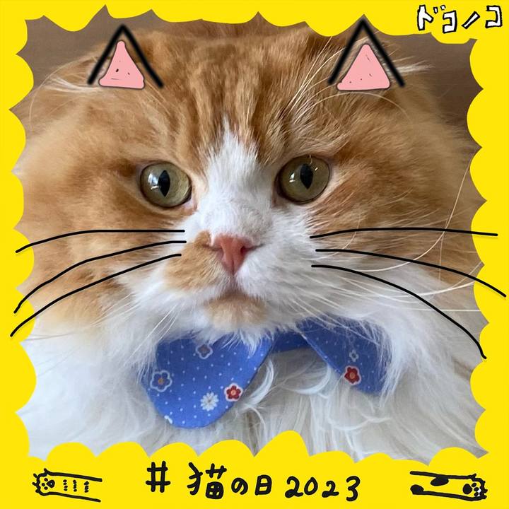 C14d8e2f eb08 4868 8b8d 0fdc63a5e789 1677028756334