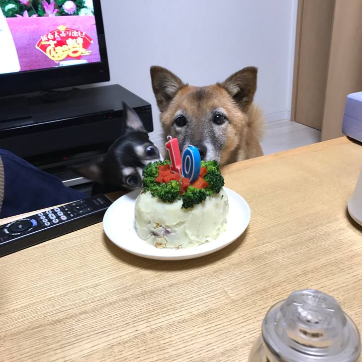 C14de256 c997 4efc bff6 be35332481c5 1514895262170