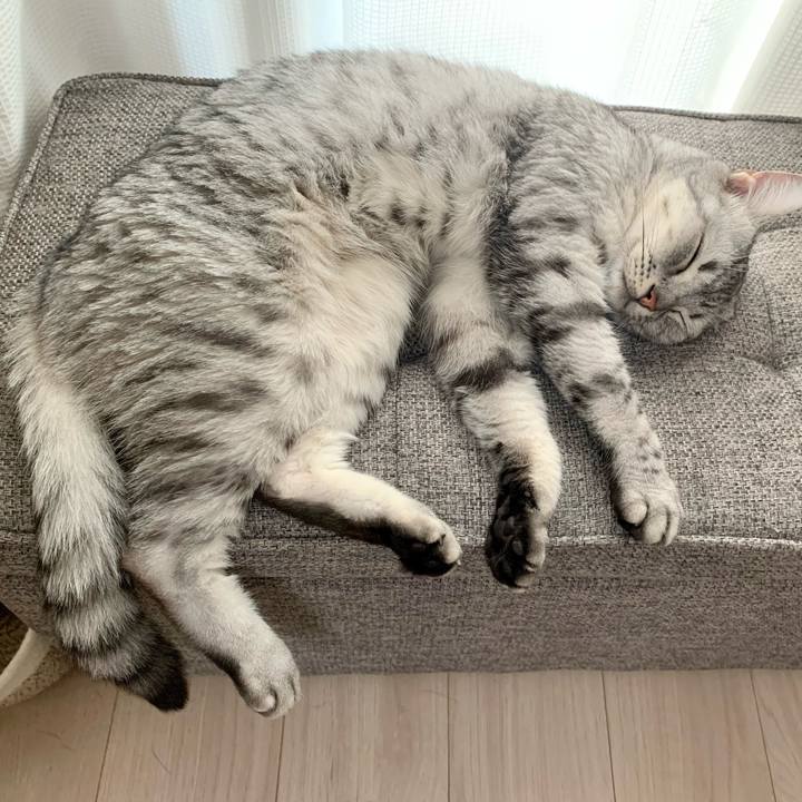 C14deb1f 0979 4405 aaa5 808a73e49f4b 1626050722938