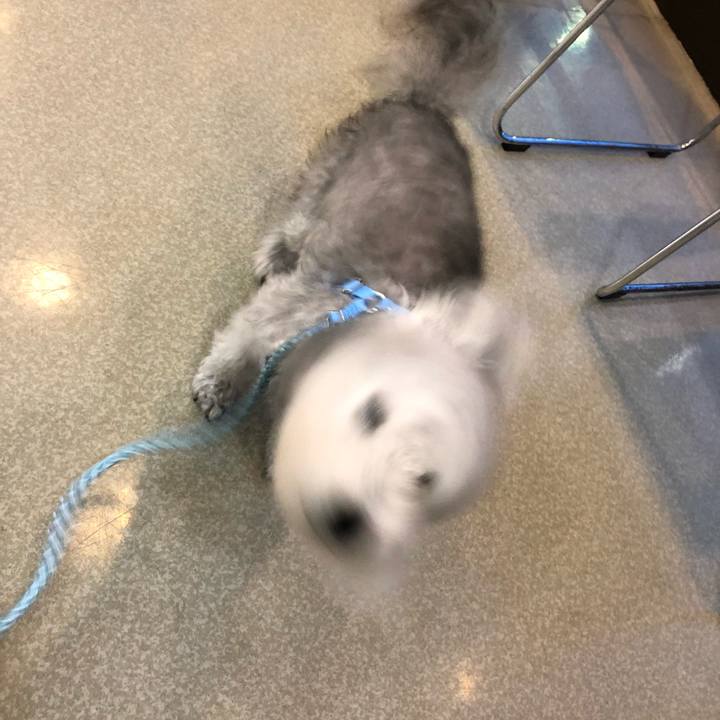 C14e2ef1 5086 417f 93b6 8d1932429ecb 1570519278411