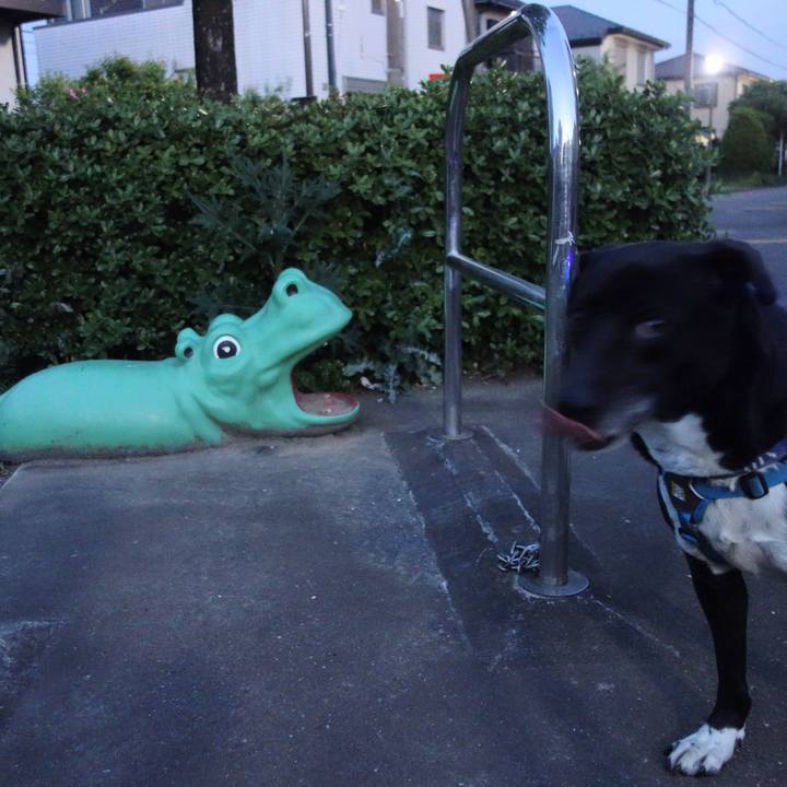 C14e4495 8989 4e58 a628 116e4ab596ac 1682161858132