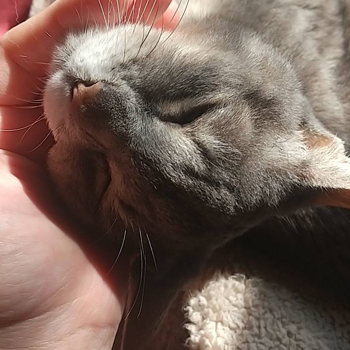 C14e5dd5 472d 4712 8fd1 2f3fa0f90090 1698465723508