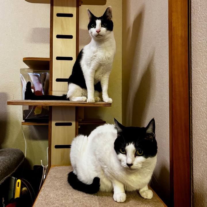 C14e63c5 0348 4d93 99fa 10c5cab453ee 1771509363216