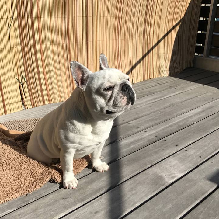 C14e6c61 778a 43b0 969a 96589e485cbf 1514852822665