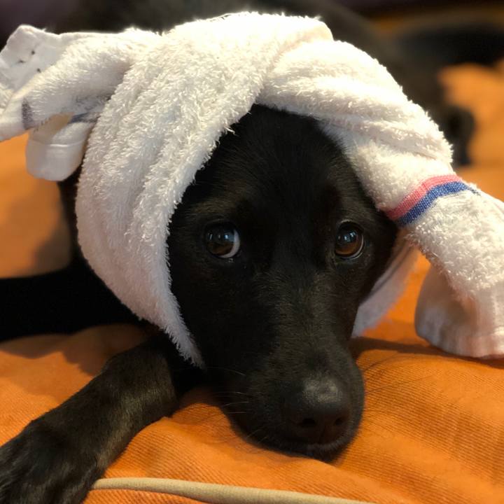 C14e93f1 f9df 4d40 9f38 9bb2db7a1e86 1601071053393