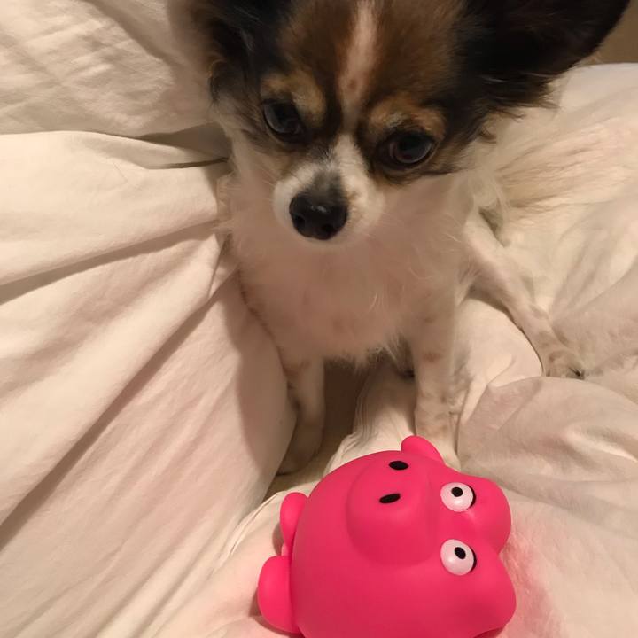 C14eabe6 0429 470c befe a41fc604374d 1542901308360