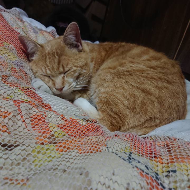 C14eb135 612c 4999 bf9d a7e6aa4e86a7 1587124289215