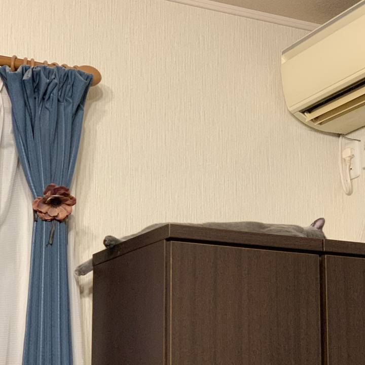 C14ecff4 c69e 4ba0 a4c9 cde6669c30a0 1578777513899