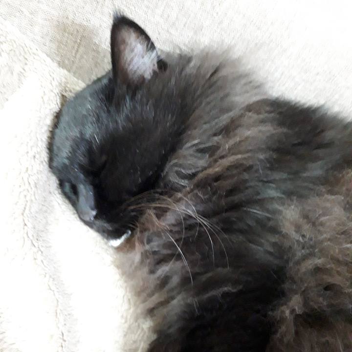 C14f101d 01f4 43af b124 04b4f7f7006b 1522063573295