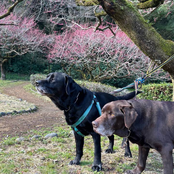 C14f48cf cbf9 4d5b 9fbe a0444c0fa8f8 1772966644773