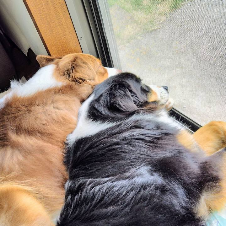 C14f54fe 12eb 424b b3ef dcd6ed36282a 1769598583219