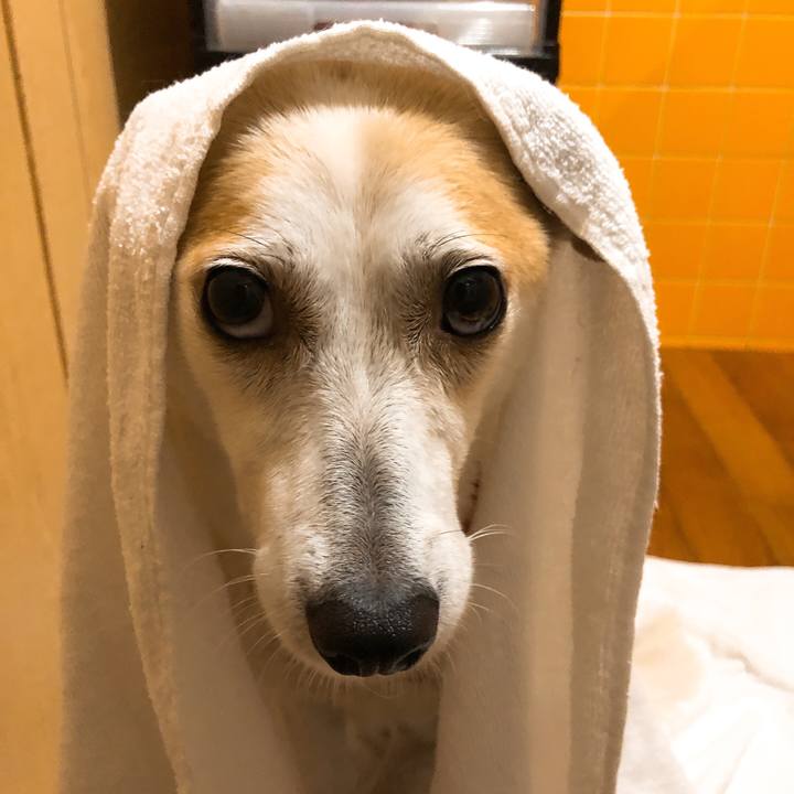 C14f565d 2032 419a 9751 a68c848c6151 1594559318196