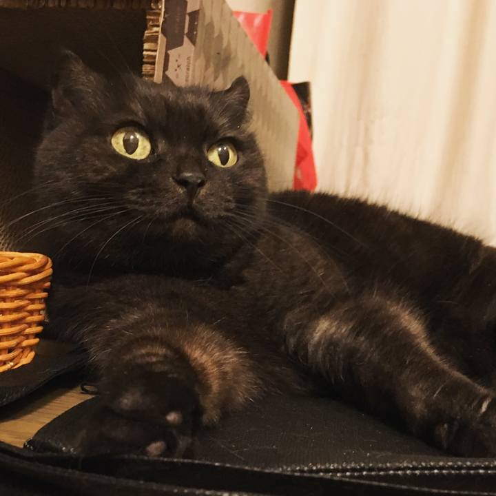 C14f7713 3af4 440f 8273 d89505c7a3fa 1513951708884