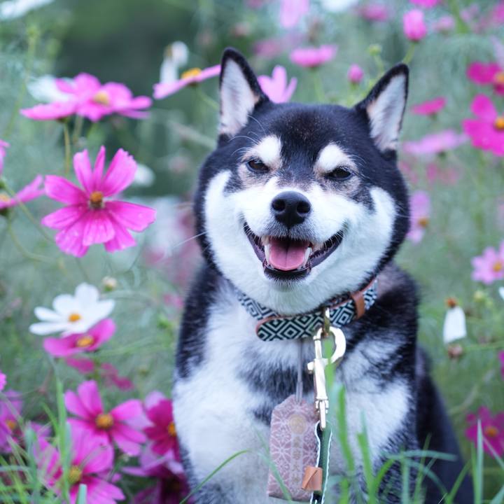 C14f7a90 063e 4339 a057 32b80cc7b0df 1763190738314