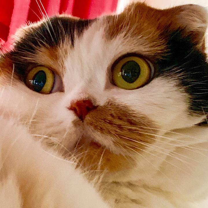 C14f84c4 a6ab 44a4 b8b2 c776d55a2789 1567842546754