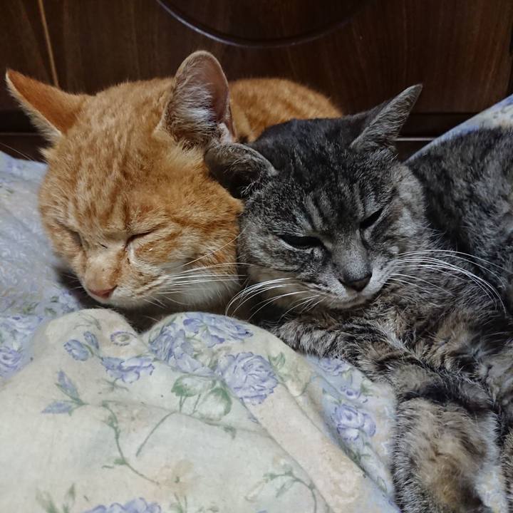 C14f8c86 9da2 4146 997b 4d567d187807 1580219364843