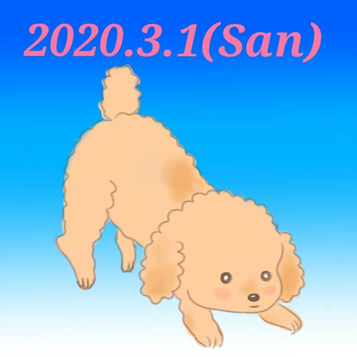 C14fc628 7f64 4203 b748 5ff460e3da7c 1583063415488