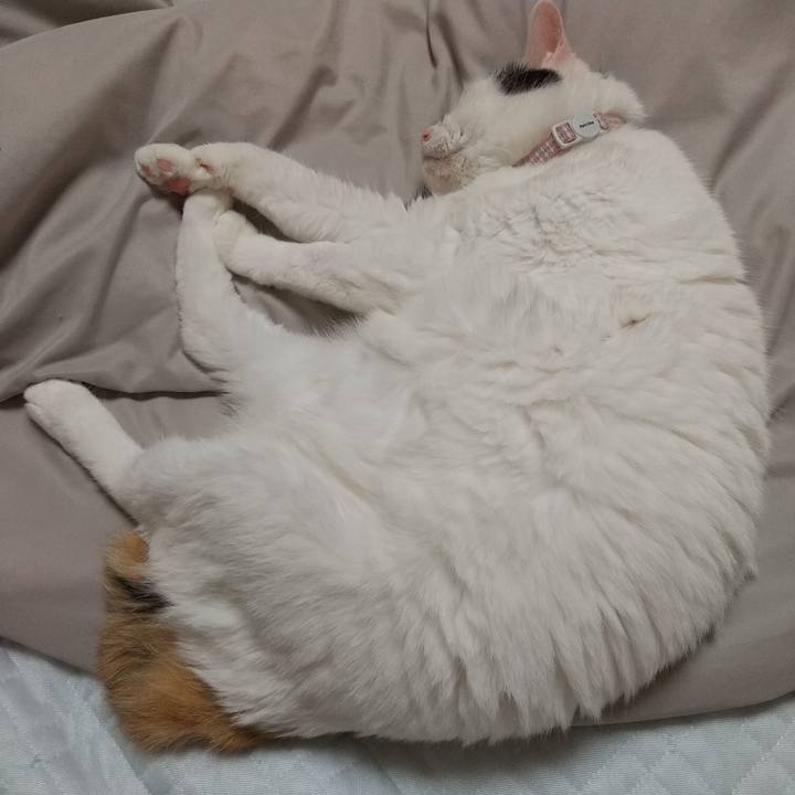 C14fe8c5 9e2e 4701 b046 55b8764866cf 1663340447612