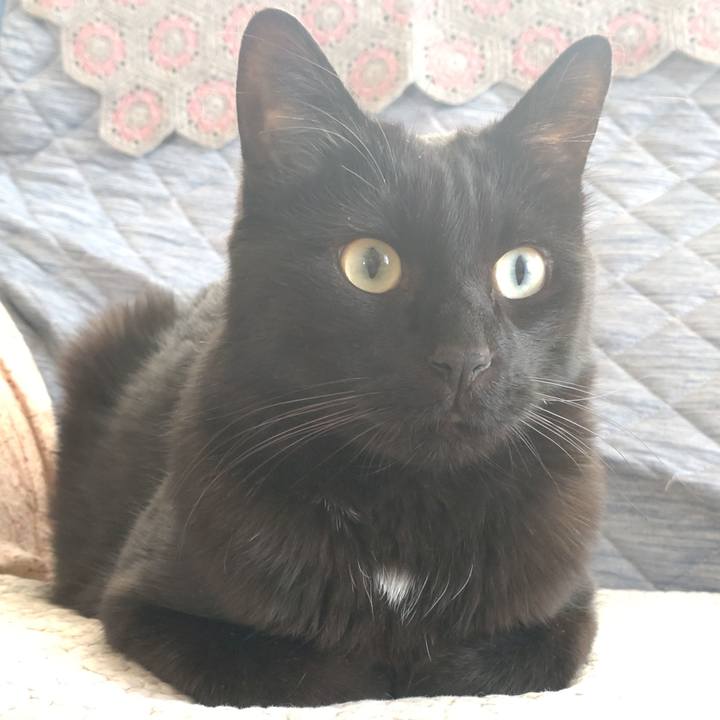 C14fec86 12cf 4208 a7e3 a95ca709e43f 1682823695750