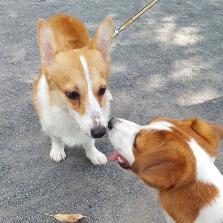 C15001bc 62d5 4aa4 9cac aacf1c33510e 1564877032215