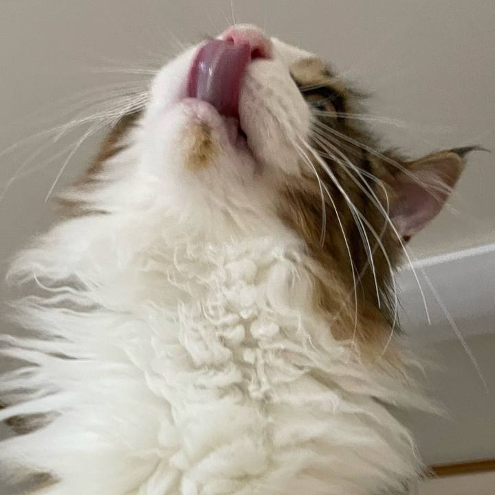 C1502777 6a03 49f6 8219 61a65debaa73 1638566037197