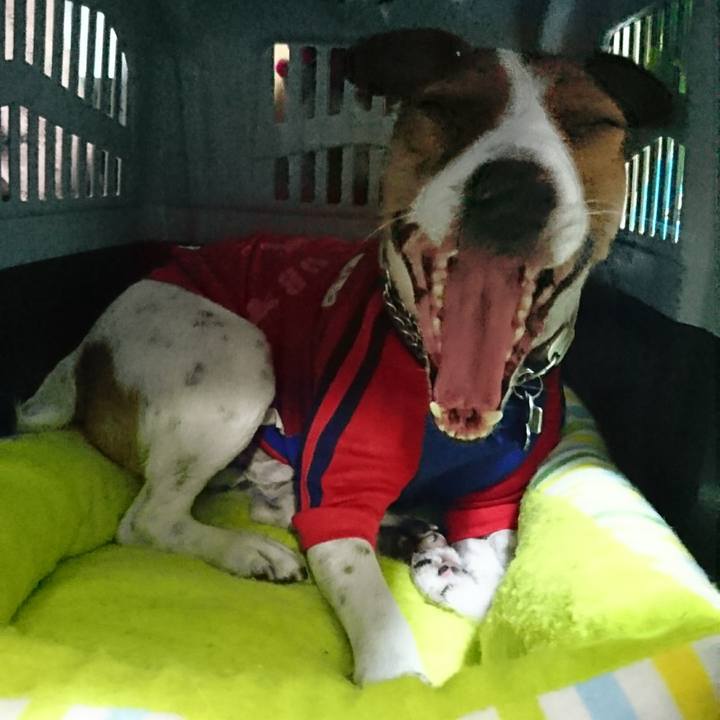 C15036e4 9b5e 4e50 a13c 6d12038a8467 1613232277002