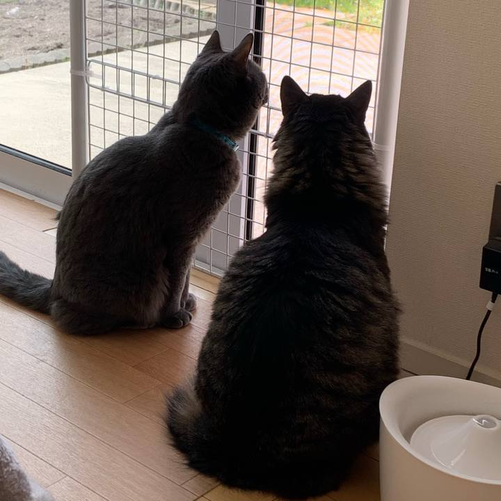 C1503f3f 9005 468b 8efb 3eb222edbc14 1684541929083