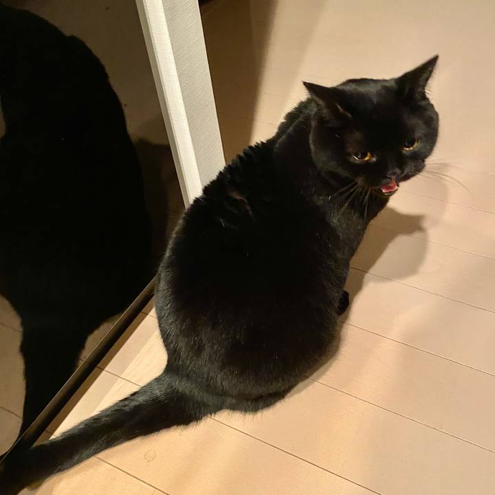 C150475e 89e9 411e a95f 02497cef2246 1733916919075