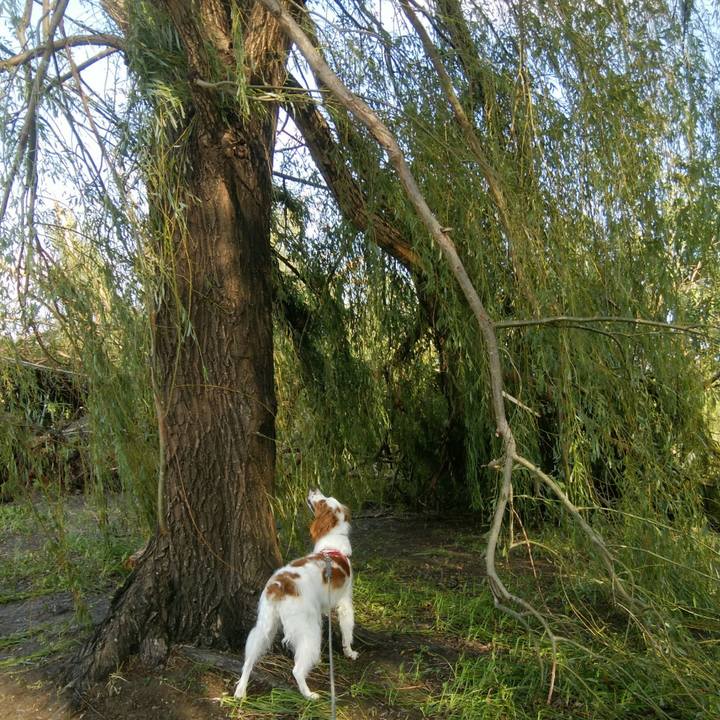 C1504f7e cd7a 4e6f 852e cc116f5a5f1c 1536124558507