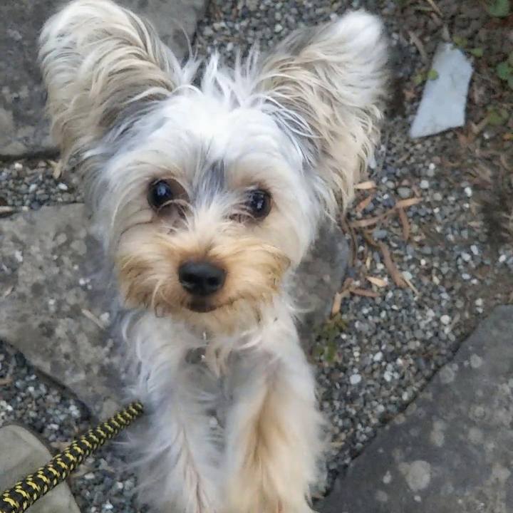 C1505626 be6b 4c56 9d5c 88746fce4a8c 1541159857093