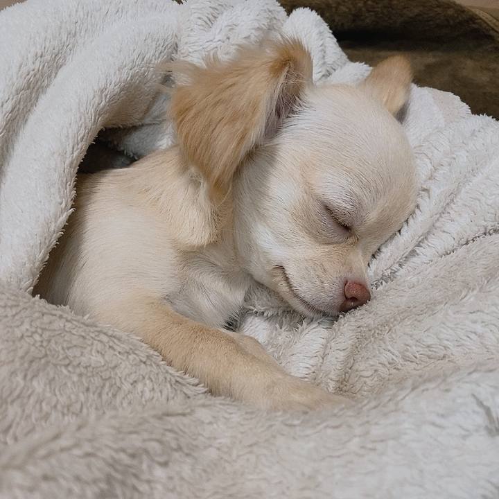 C15069e8 ee6d 481c b025 efdf5e03a750 1595399643039