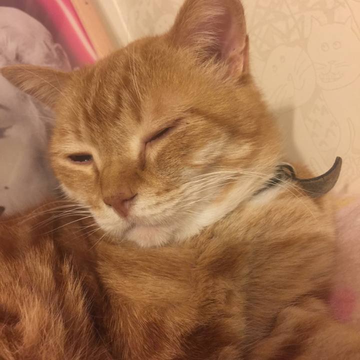 C1509d17 b1a7 43b0 83bb 67bbf02a7022 1553010940689