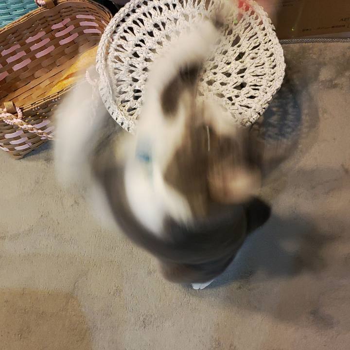 C150e09c c747 4bad 8e37 9fba6e086048 1671054972981