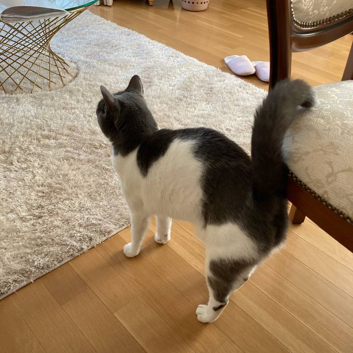 C15123d7 4e14 4181 a4ed 7bb33cae4bb3 1700985707414