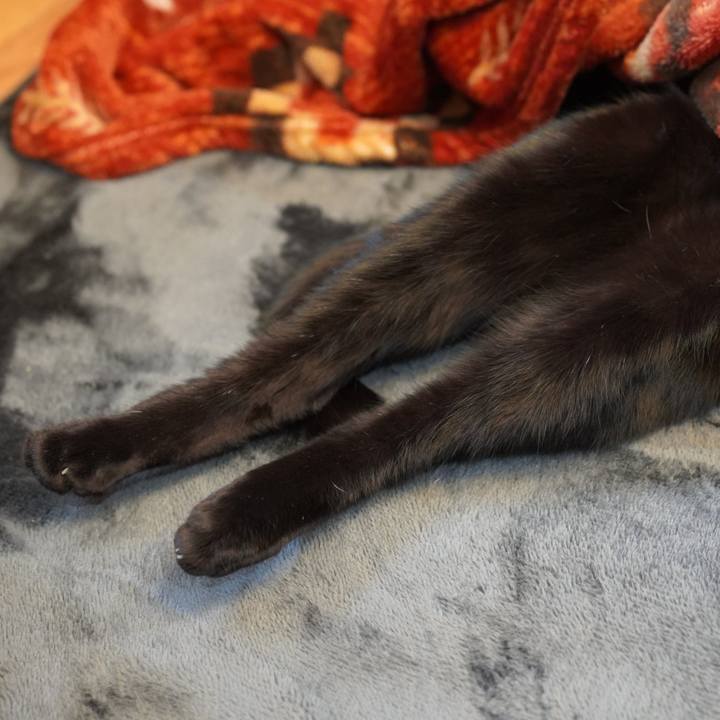 C15129a7 b83e 446a a2cd ef5a01e7914f 1577701564061