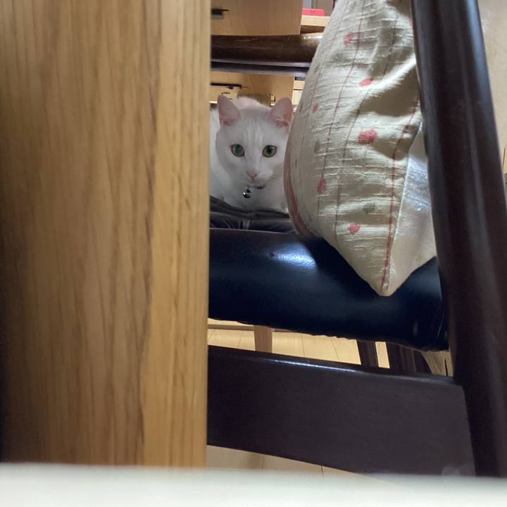 C151486e e836 4fe6 84de be539b5ccad9 1662154846599