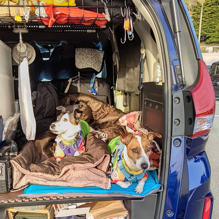 C1516eb2 da97 4390 8e15 2316f00ca39f 1678573293802