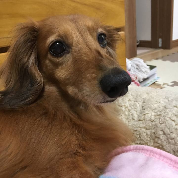 C151760b 1073 48e0 b0b4 c814b9230bbd 1554099631945