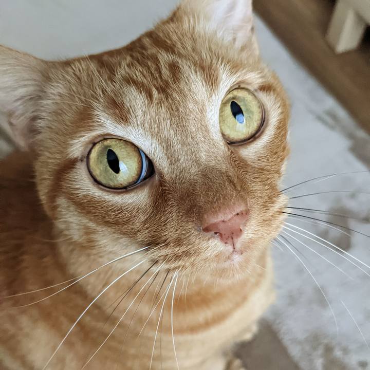 C1519247 e05a 4d03 89cc a5c733a5b737 1670758541886