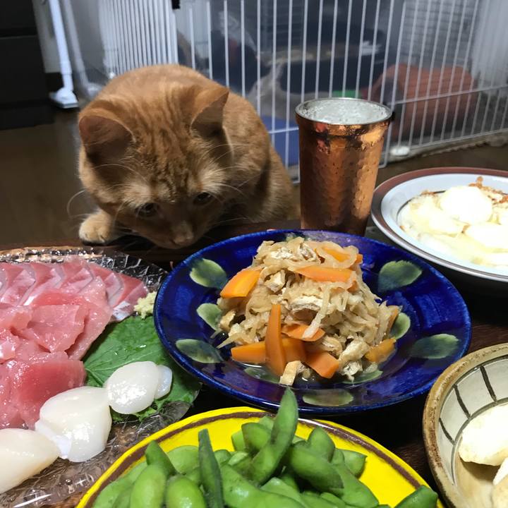 C151bbe6 5171 46df bac2 e36aa2ed4820 1532608200652