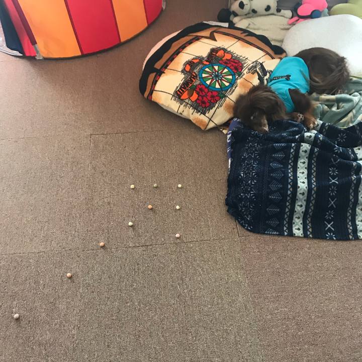 C151e50e df93 43e2 bf23 4a0f1c5dcbf0 1538799466057