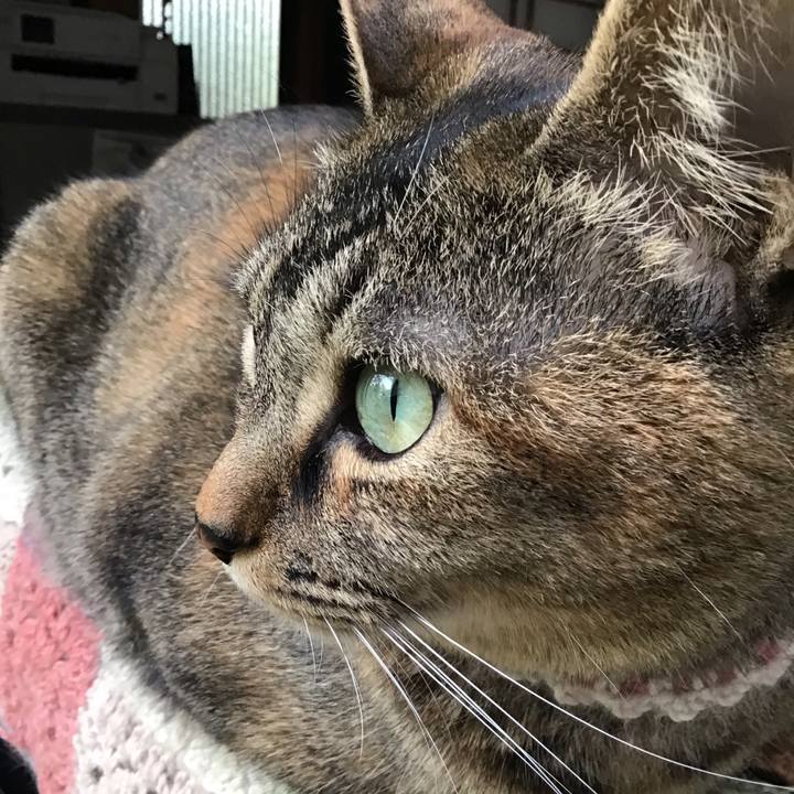 C1524b31 0c65 408b b615 5fc0e047d535 1652947049351