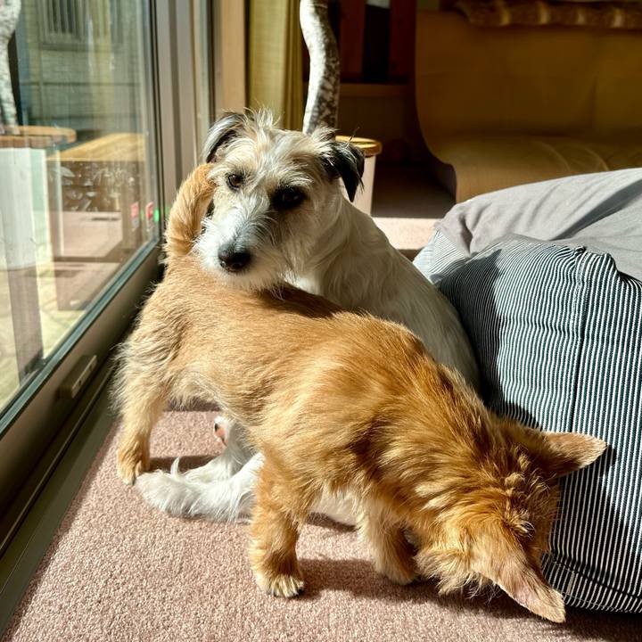 C152686c 6e5f 48c7 aa2b dd315061200d 1705975746061