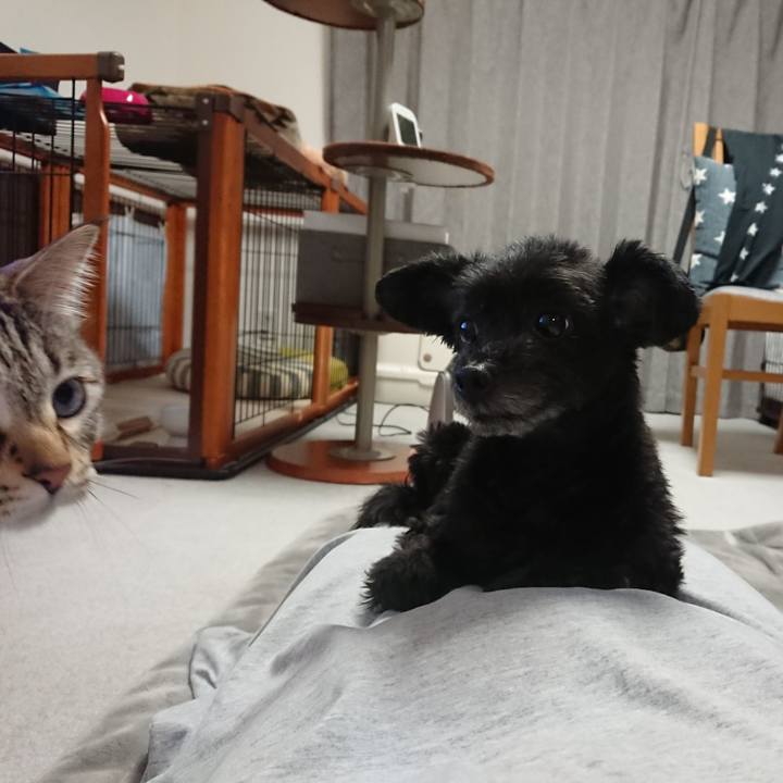 C152bf84 019f 4841 9a86 e0b1a8676724 1556618879290