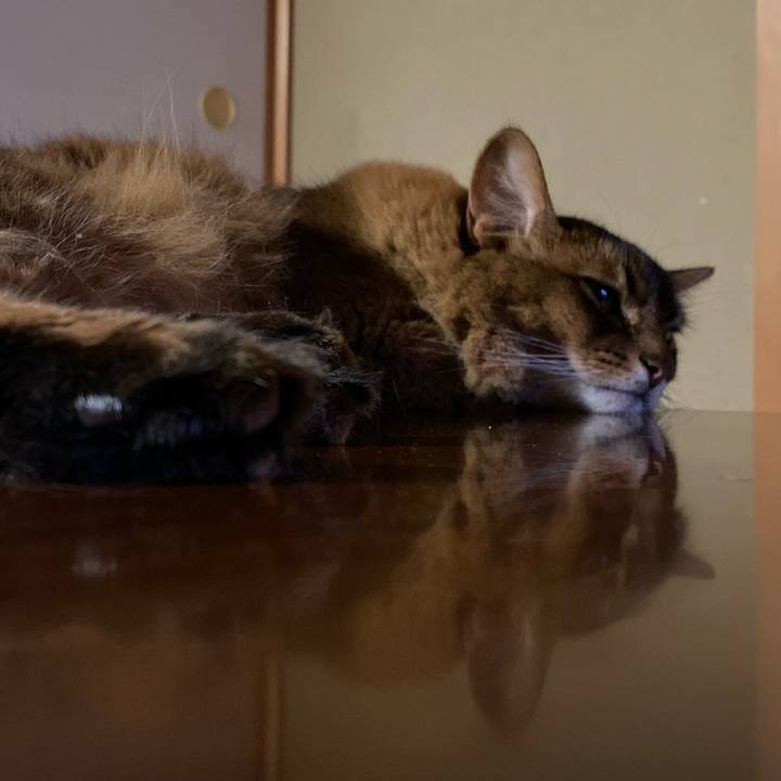 C152c449 239e 4c00 a878 d3a04ea2686b 1658468033798